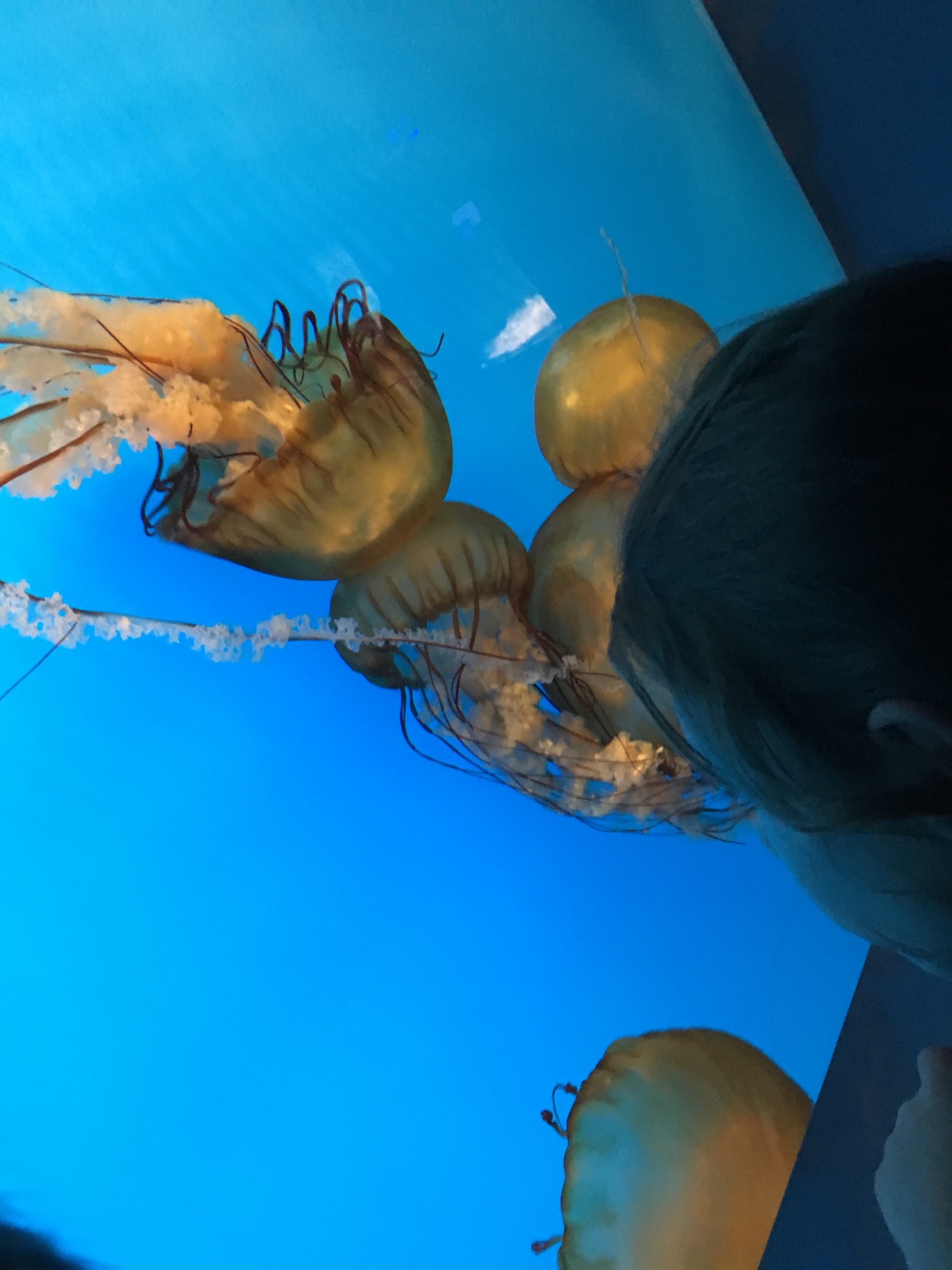 07-08-2016-baltimore-7 photo