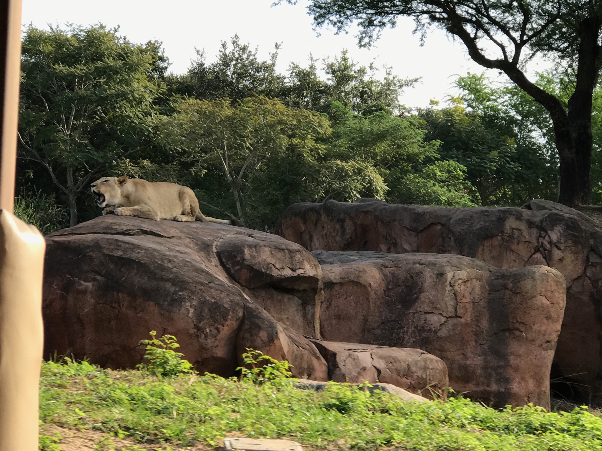 disney-trip-2016-99 photo