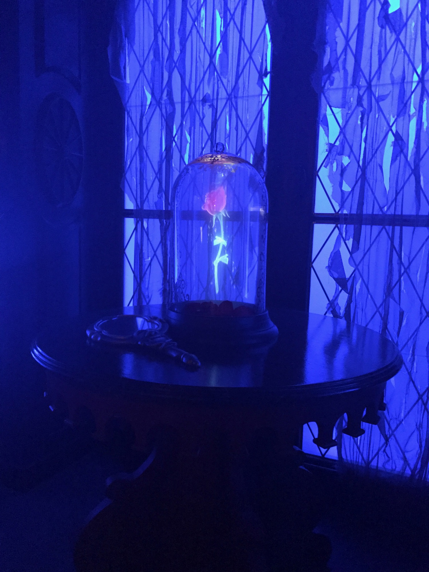 disney-trip-2016-76 photo