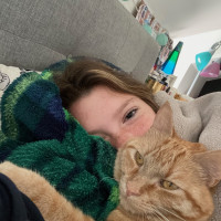 This Cat is OK